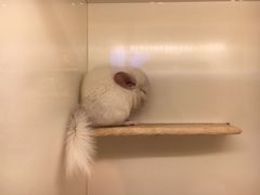 -龙猫仔乐园(惠福东路店)