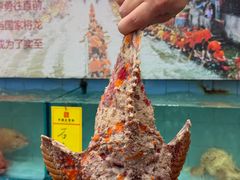-有腥气私房菜·寻味顺德