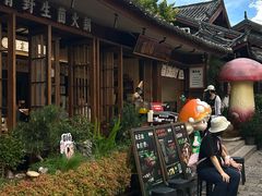 -菌自由丨野生菌火锅特色庭院餐厅(丽江古城店)