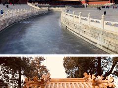 门面-茶大椰·椰子茶(星悦荟店)