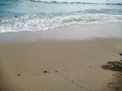 -西涌国际滨海旅游区