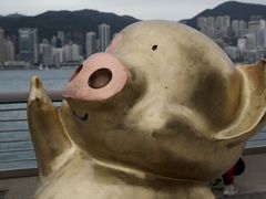 -星光大道