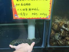 -蚝专家(北滘店)