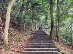 -灵顺寺