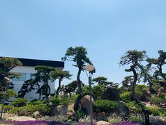 -罗红摄影艺术馆