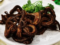 炸傻鳝-食为先(中山七路店)
