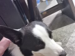 -自由生长植物工作室(深港花卉中心店)