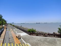 -上海滨江森林公园