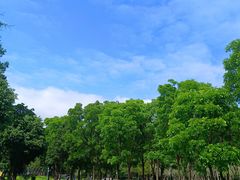 -莲花山公园