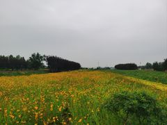 -君乐宝优致牧场