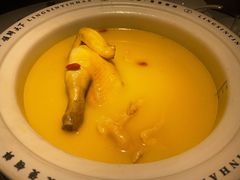 -领鲜天下·焗海鲜·花胶鸡(天目里店)