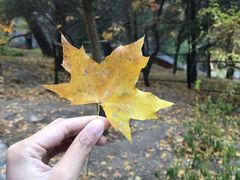 -香山公园-东宫门售票处