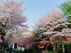 -淹城春秋乐园