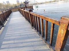 -莲花池公园