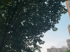 -海底捞火锅(关山保利店)