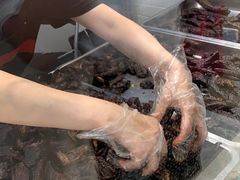 -都士牧人现烤牛肉干