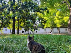 -西园戒幢律寺