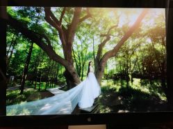 -米兰尊荣婚纱摄影·婚纱照会馆