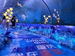 -重庆欢乐海底世界