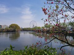 -无锡蠡湖国家湿地公园-蠡园