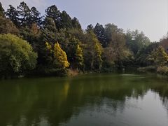 -和顺柏联温泉