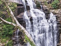 -海南热带雨林国家公园吊罗山景区