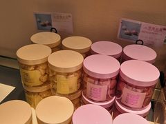 -蒲公英(五里店)