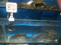 -盒马鲜生(皇庭广场店)