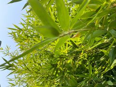 -火火咖啡&茶空间