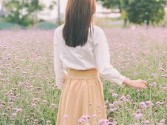 -荷兰花海