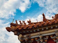 -北陵公园