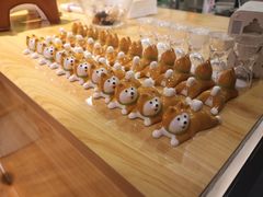 -柴务处·柴犬主题狗咖