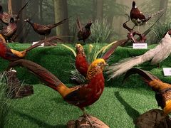 -御轩足道·SPA·养生·保健(瑞金北路店)