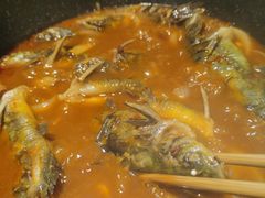 -小小河边鱼(天润城店)