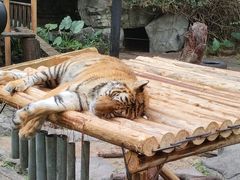-广州长隆野生动物世界