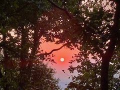 -梧桐山风景名胜区