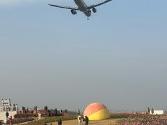 -空港花田景区
