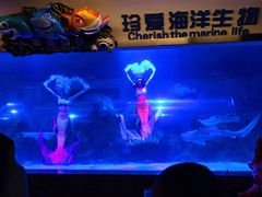 -成都浩海立方海洋公园