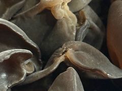 -川香煲(茅台路店)