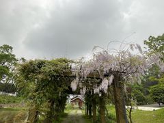 -周立波故居