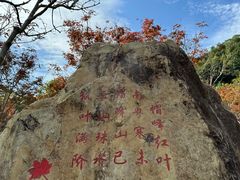 -广州市帽峰山景区