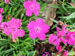 -七宝老街-闵行市民文化广场