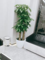 -悟空祛痘·诺奖技术专业店