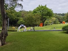 -云溪植物园