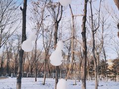 -大兴滨河森林公园