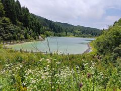 -武陵山森林公园