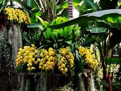 -北京植物园-展览温室