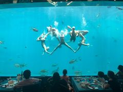 -瑞德姆美人鱼海底演艺主题餐厅(亚龙湾店)