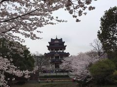 -苏州吴中太湖旅游区