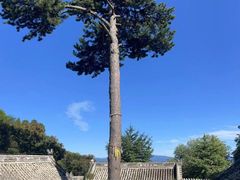 -龙庆峡风景区